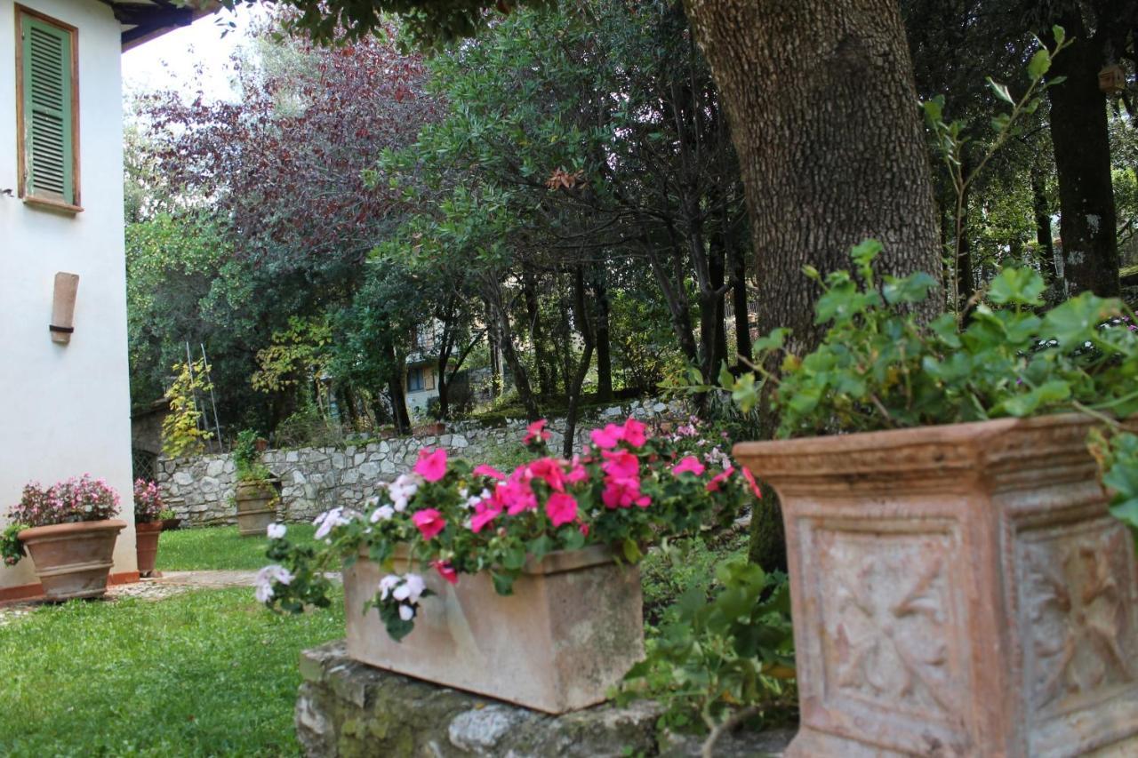 Holiday home Casa Arezzola