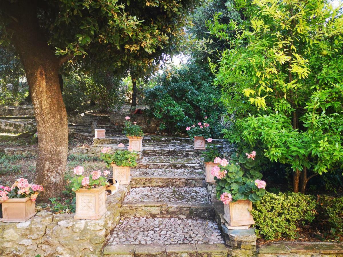 Casa Arezzola Holiday home